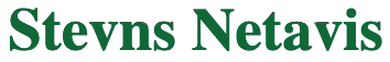 stevns netavis